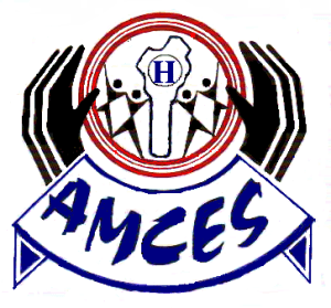 AMCES Référence BSM groupe